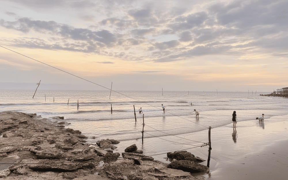 Cồn Vành là một trong những bãi tắm được yêu thích tại Thái Bình